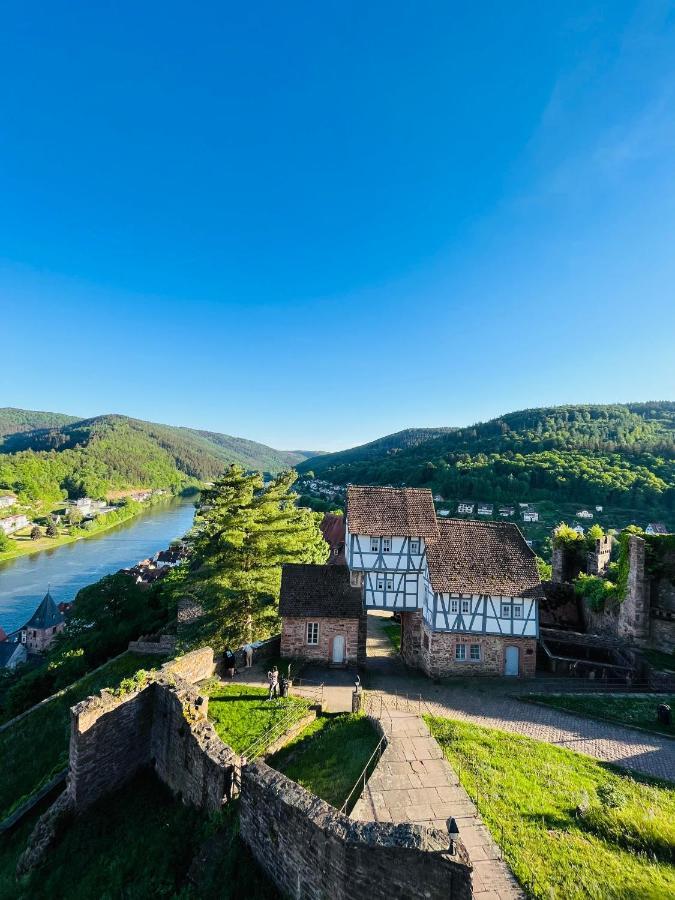 Luftkurort, Perle Des Neckartals Daire Hirschhorn Dış mekan fotoğraf